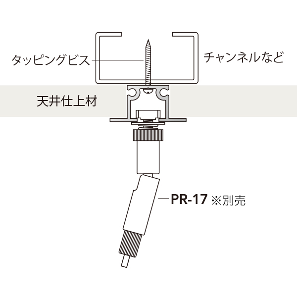 PR-2N シルバー 2枚目