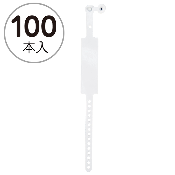 新パスバンド (100本入)ホワイト　店舗用品　運営備品　イベント用品　パスケース
