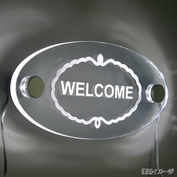 LEDサインナット ホワイト 2ケ　店舗用品　化粧ビス　ナット