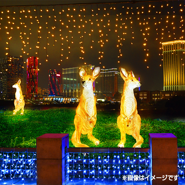 LEDナチュマル カンガルー 2枚目