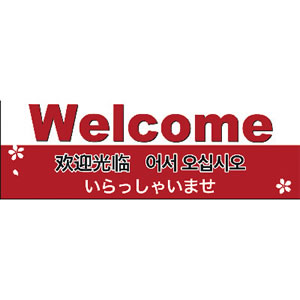 【在庫限り】12E1612 ポスター A3判welcome 5枚入　店舗用品　販促POP　外国人旅行者向けPOP 3枚目