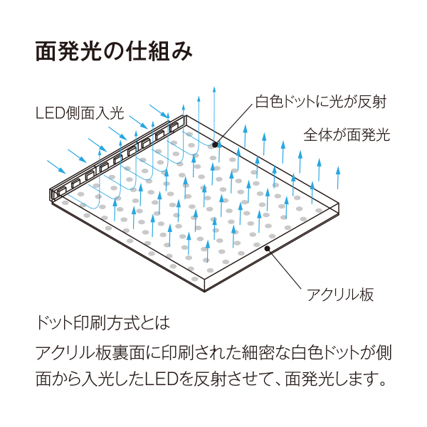 PGライトLEDスリム44S角型A0 ケヤキ 9枚目