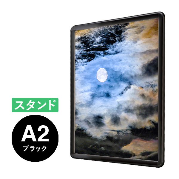 PGライトLEDスリム32R A2 ブラック スタンド